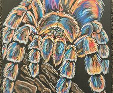 Tarantula painting