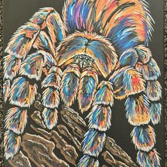 Tarantula painting