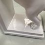 Pair of 9 inch tall English Bulldog bookends Image 10