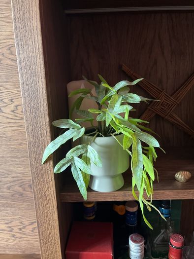 plastic house plant
