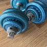 2x 10.5kg dumbbells Image 2