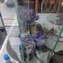 Fish tank Image 3