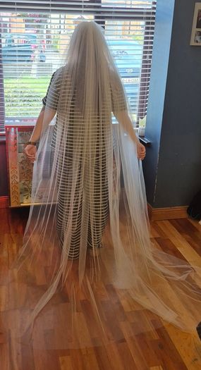Cathedral length Ivory Veil