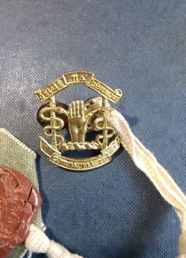 Eire   Army   Badge