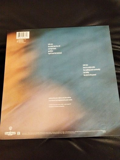 Jane Siberry The walking lp