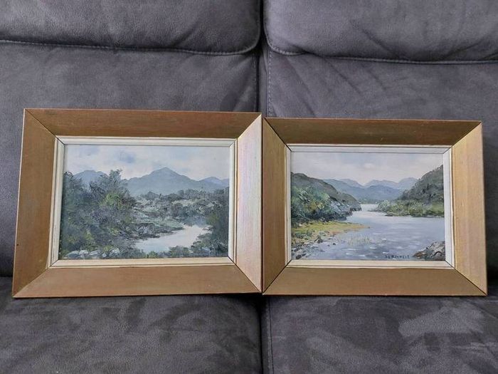 2 oil paintings- signed D. O'Donnell