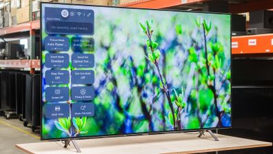 LG Oled 65 Inch