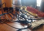Equestrian Bundle