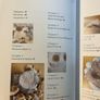 The Psilocybin Mushroom Bible Magic Mushies Book Image 3