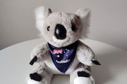 Souvenir from Australia - Koala