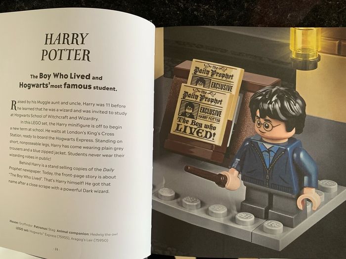 Harry Potter Wizarding Worlds Book