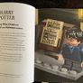 Harry Potter Wizarding Worlds Book Image 3