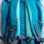 Backpack Quechua Arpenaz 30L Image 2