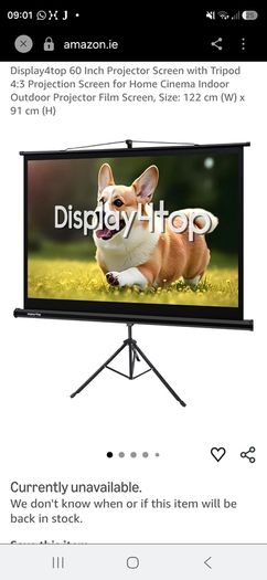 60 inch Portable Projection screen