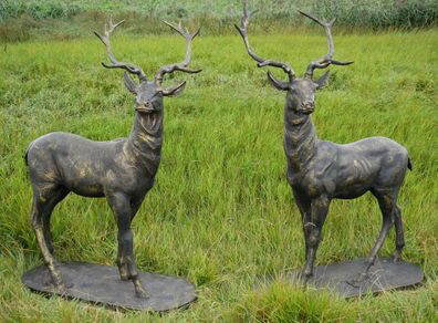 Pair of Standing Stags D7223