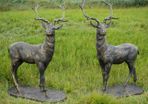 Pair of Standing Stags  D7223