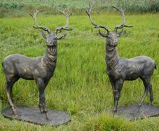 Pair of Standing Stags  D7223