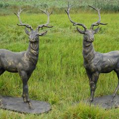 Pair of Standing Stags  D7223