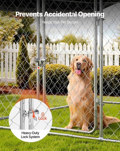 Large Outdoor Dog Kennel, 2 x 2 x 1.6 m