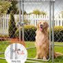 Large Outdoor Dog Kennel, 2 x 2 x 1.6 m Image 5