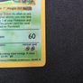 Pokemom Base Set Venusaur Shadowless Image 10