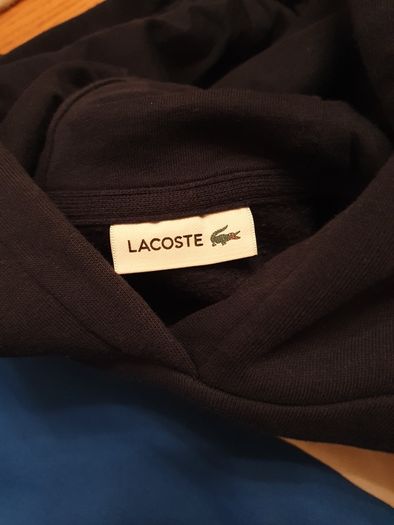 Lacoste boys OTH hoodie