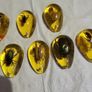 Insects in amber lucite 10 each Image 6