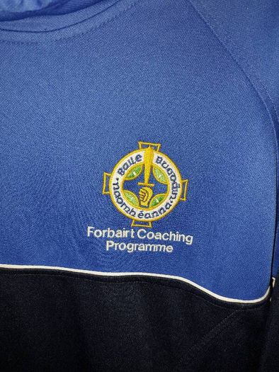 ballyboden st endas gaa hoodie