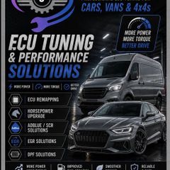 Tuning. Remapping. Adblue, Dpf, Egr solutions.