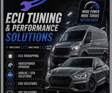 Tuning. Remapping. Adblue, Dpf, Egr solutions.