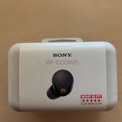 Sony Wf-1000xm5