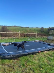 In-ground trampoline
