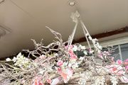 Very large 85cm diameter densely woven birch wreath BASE