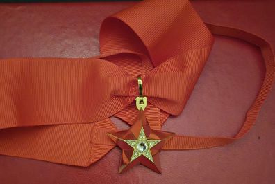 Russian  , ussr , red army, The Marshal's Star.