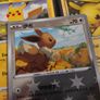Eevee ! Reverse Holo ! from Nine Colors Gathering Set ! 2024 ! S-Chinese Pokemon Card ! Image 2