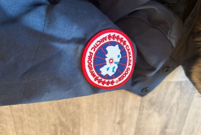 canada goose