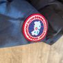 canada goose Image 3