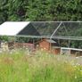 6x3m Hen run Free cover, galvanised heavy duty bars 32mm Image 6