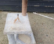 Cat Tree