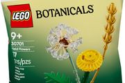 Lego Botanicals Field Flowers 30701