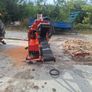 firewood processor Image 3