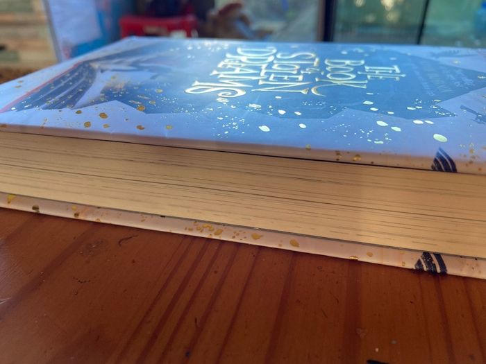 Usborne - The book of Stolen Dreams