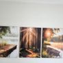3 canvas 46x66cm Image 4
