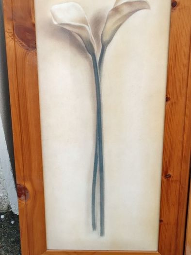 Beautiful Set of 2 Large Flower Pictures