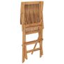 Folding Garden Chairs 2 pcs Solid Teak Wood Image 8