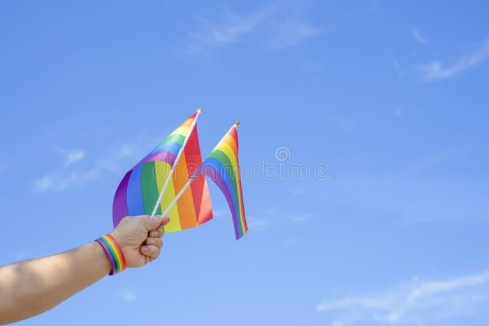 1000 rainbow waving flags, free postage