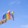 1000 rainbow waving flags, free postage Image 2