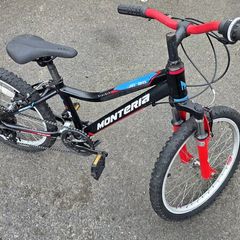 Monteria JR 20 Kids Mountain Bike