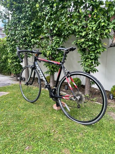Spider Road Bike