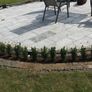 Box Hedging Image 10